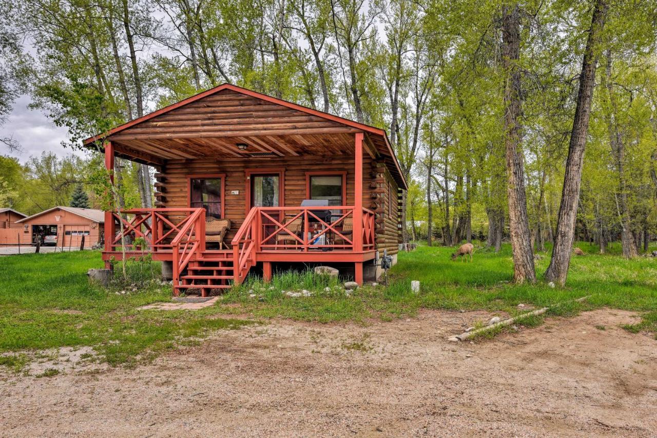 Cozy Colorado Cabin With Deck, Grill And River Access! Buena Vista Exterior foto